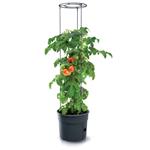 Doniczka do pomidorów Prosperplast TOMATO GROWER 29,5 cm antracytowa