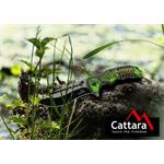 Nóż Cattara JUNGLE z bezpieczną blokadą 21,7 cm