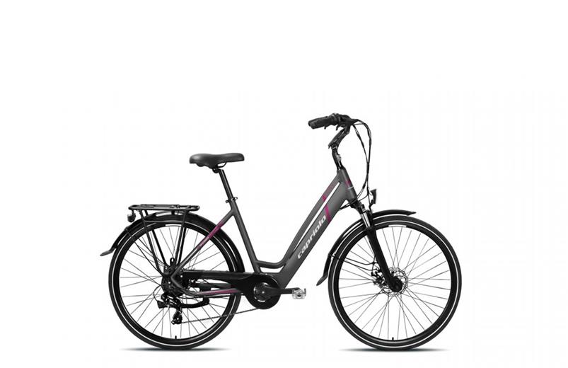 Rower elektryczny Capriolo E-City Lady 28 E-BIKE szary